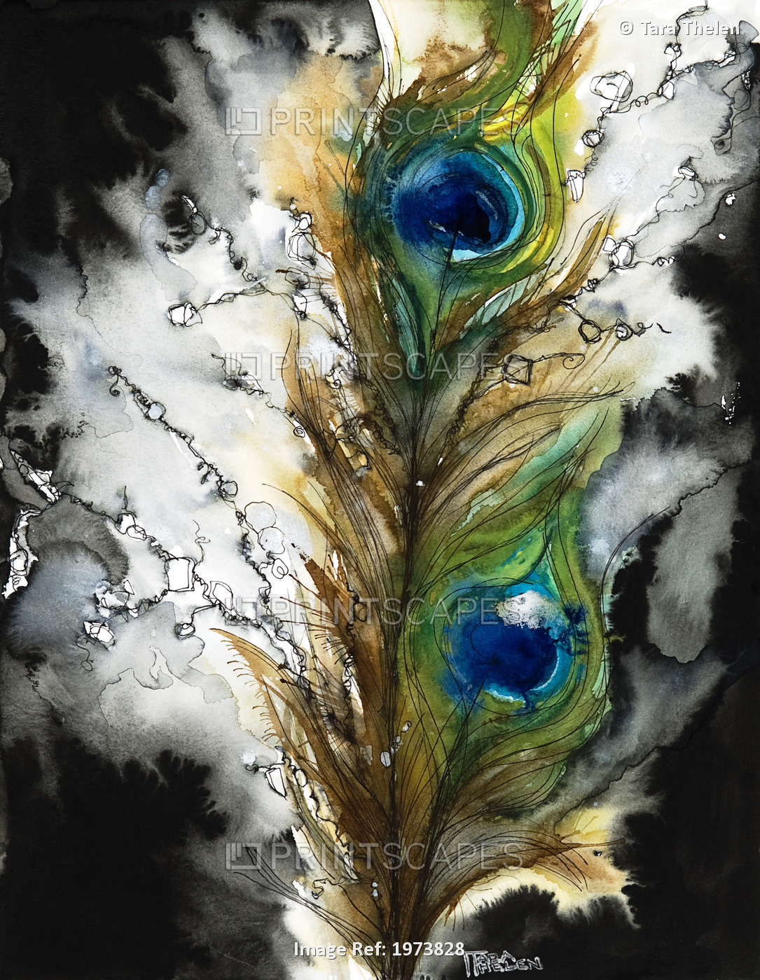 Female, Abstract Of Peacock Feathers (Watercolor Painting).